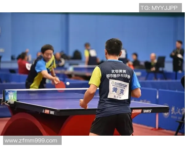 武汉乒乓球队在全国比赛经验排行榜中荣获第五名的辉煌成就